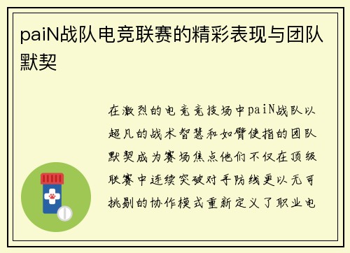 paiN战队电竞联赛的精彩表现与团队默契